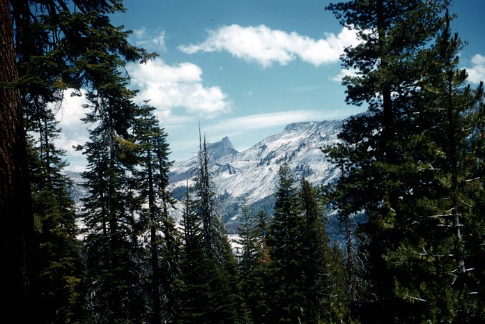 Tuolumne1-July1956